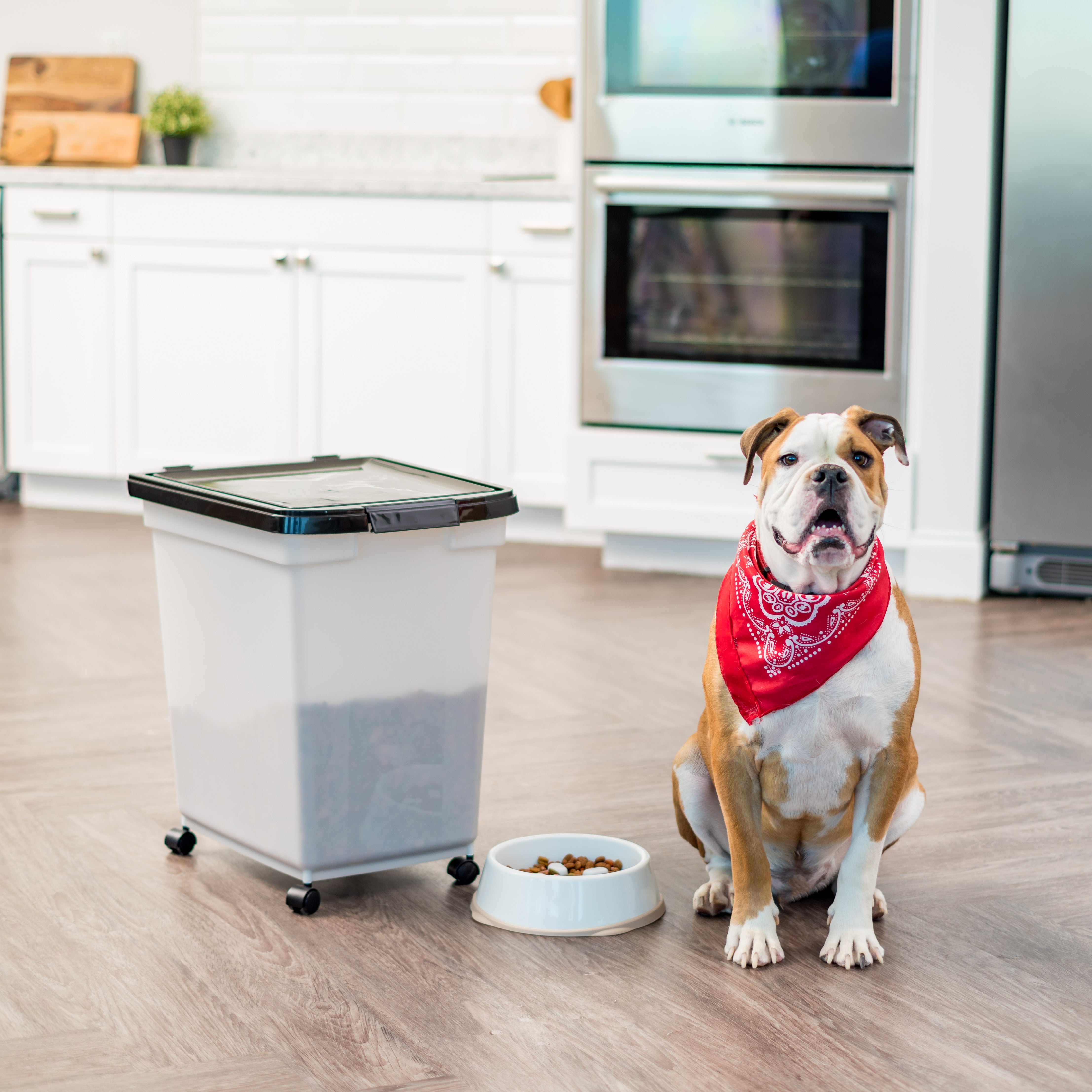 65 Quart Airtight Pet Food Container, Black/Pearl