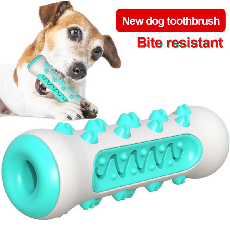 Toothbrush Dog Toys
