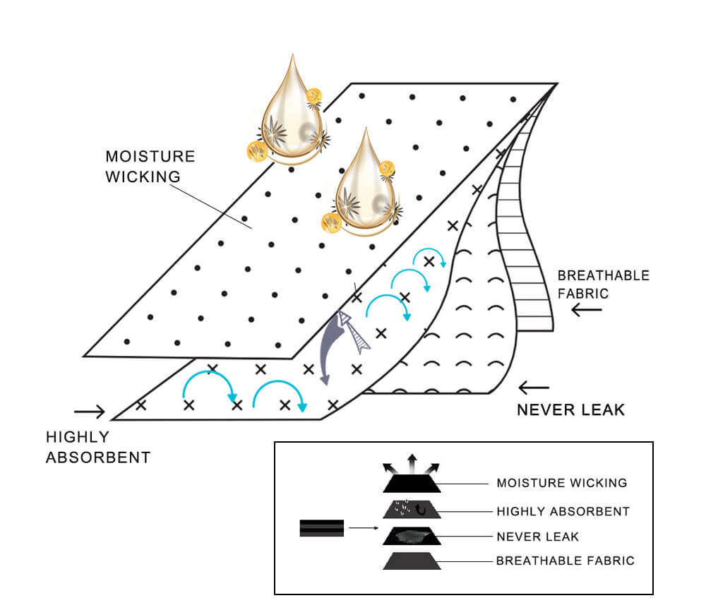 HOW DOES PERIOD PANTIES WORK