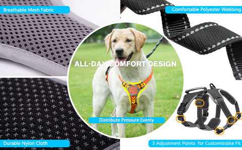 All Day Comfort Harness