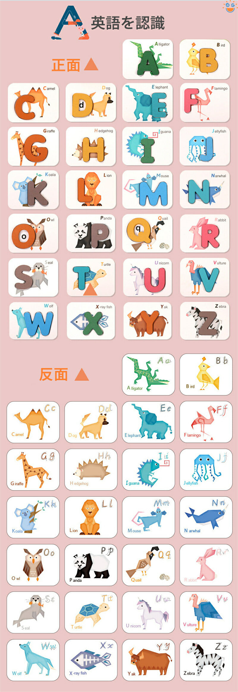 子供用アルファベット数字動物マッチングフラッシュカードセット