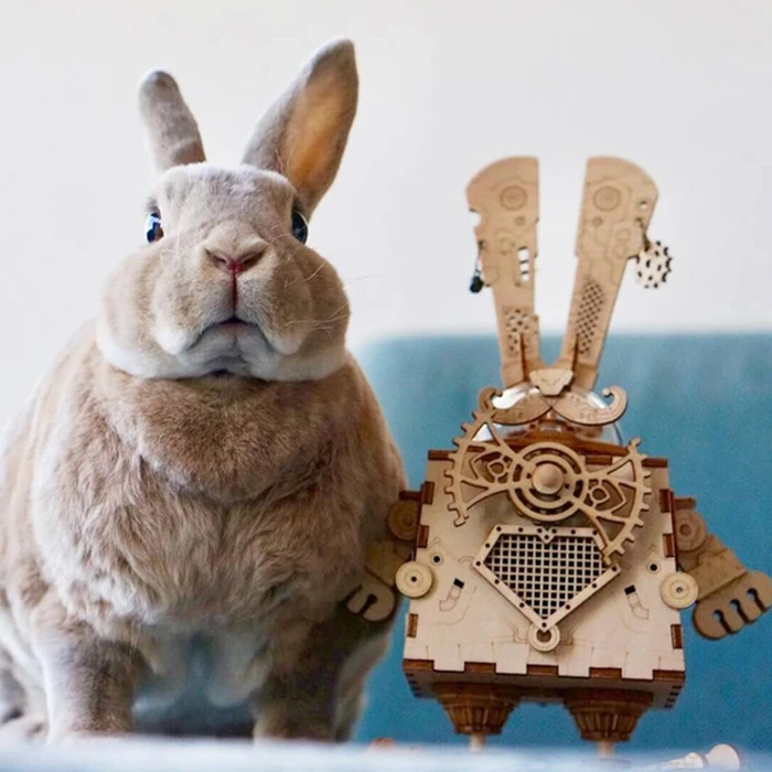 ROBOTIME 3D Wooden Puzzle RPKR Bunny AM481- DIY Steampunk Music Box