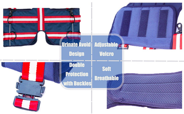 high-quality dog lift harness's details