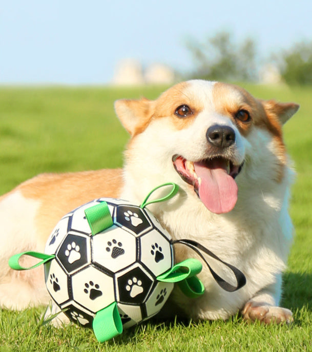 Small Dog Interactive Football Toys - Pet Lovers Heaven