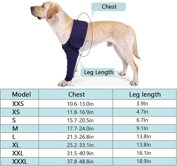 dog front leg brace help pets walk after surgery to help them recover