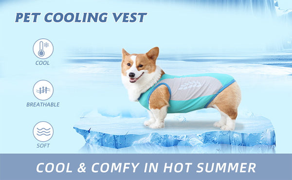 Pet cooling vest