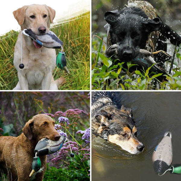 dog bumper is an essential part of any serious hunting dog trainer.