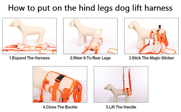 How to use dog lift harness