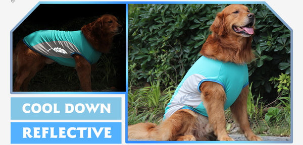 Dog cooling vest reflective pattern