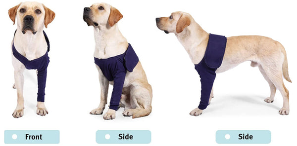 dog front leg recovery sleeve display