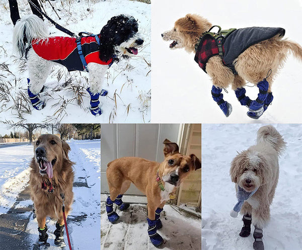 warm dog snow boot package include