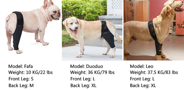 Dog knee brace pet model instructions