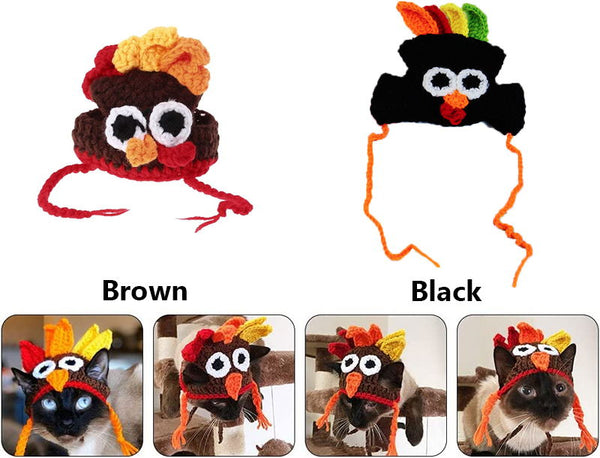 warm halloween dog hat display