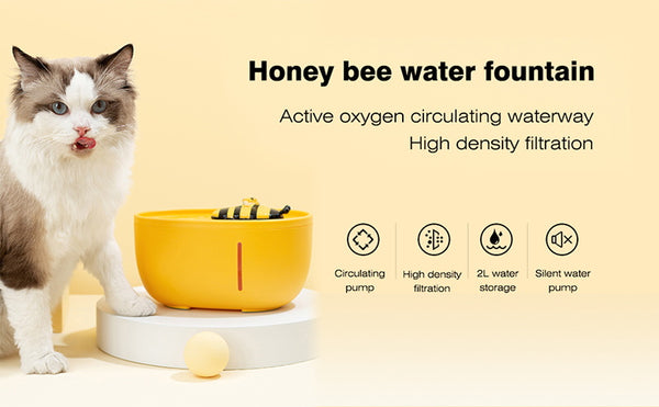 cat water fountain's benifit