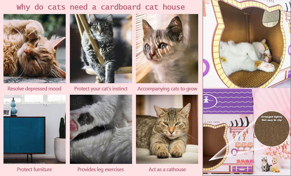 cardboard cat house function description