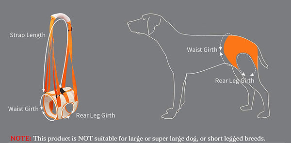 dog lift harness measurement descripeion