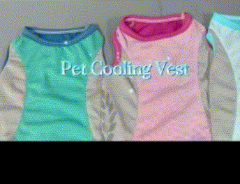 Dog cooling vest details