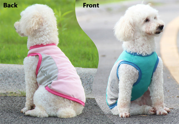 Dog cooling vest display