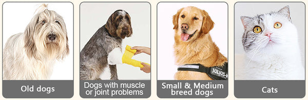 The elevated dog bowl help reduce neck and joint strain as your pet is eating