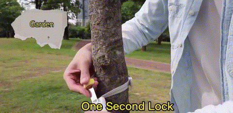 hand free leash for dogs can tie the dog anytime