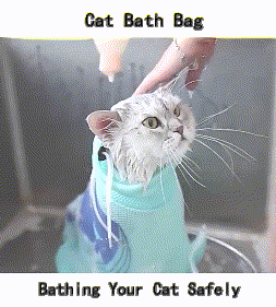 use cat bath bag for your cat