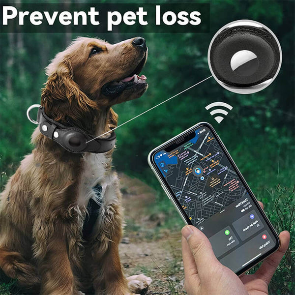 GPS airtag dog collar