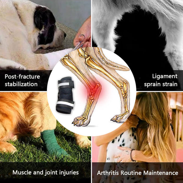 dog leg brace function description