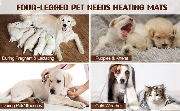 use the dog heating pad in the following scenarios