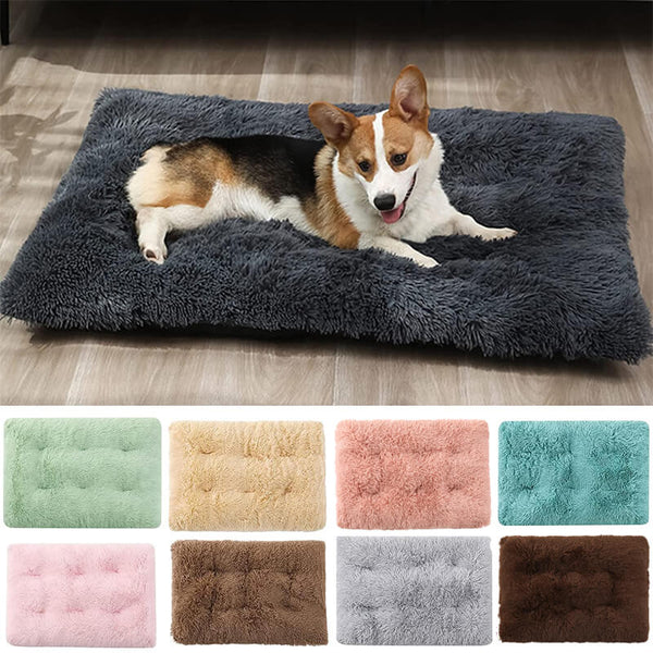 dog crate bed mat display