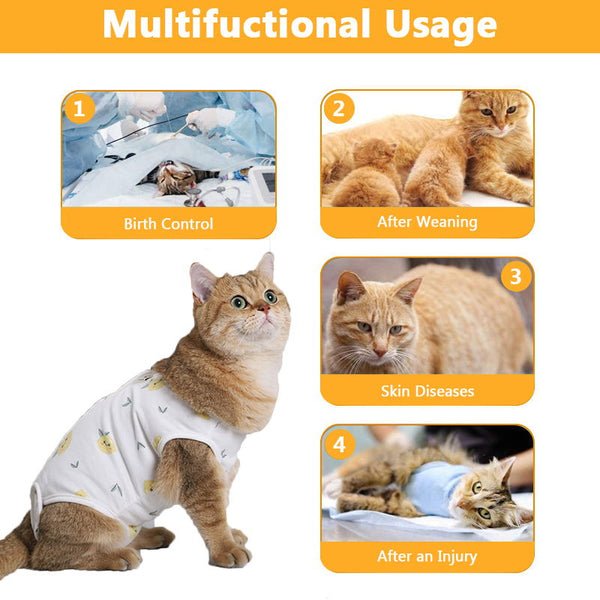 Cat recovery suit function description