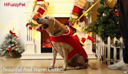 wear this dog Christmas outfit, your pup can enjoy the festivities with you