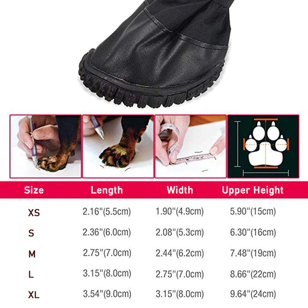 winter dog boot size chart