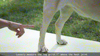 dog leg brace measurement