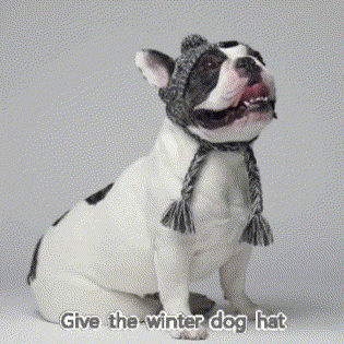 Give the winter dog hat as a gift to our special friend to make it warm through the cold winter