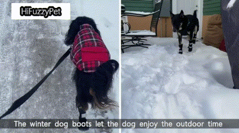 winter dog boots let the dog enjoy the outdoor time while also giving its paws good protection