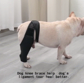 Dog knee braces fit perfectly