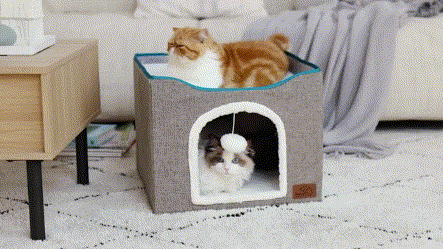indoor cat bed house- a warm place for sleeping