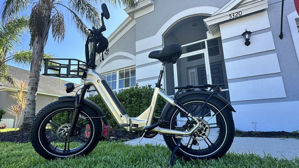 why electric bike so expensive