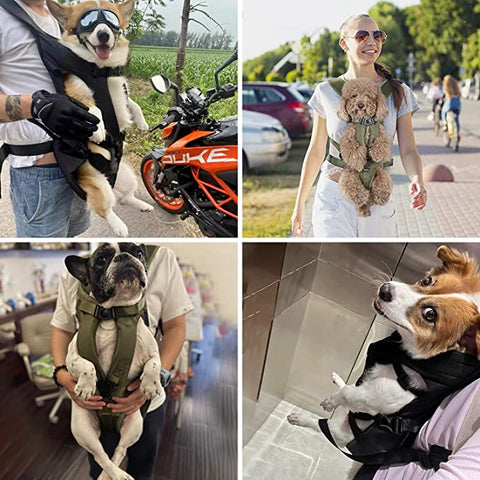 Dog Carrier Backpack Wowpetsmart
