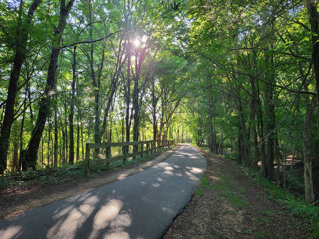 Best dog friendly trails in Memphis