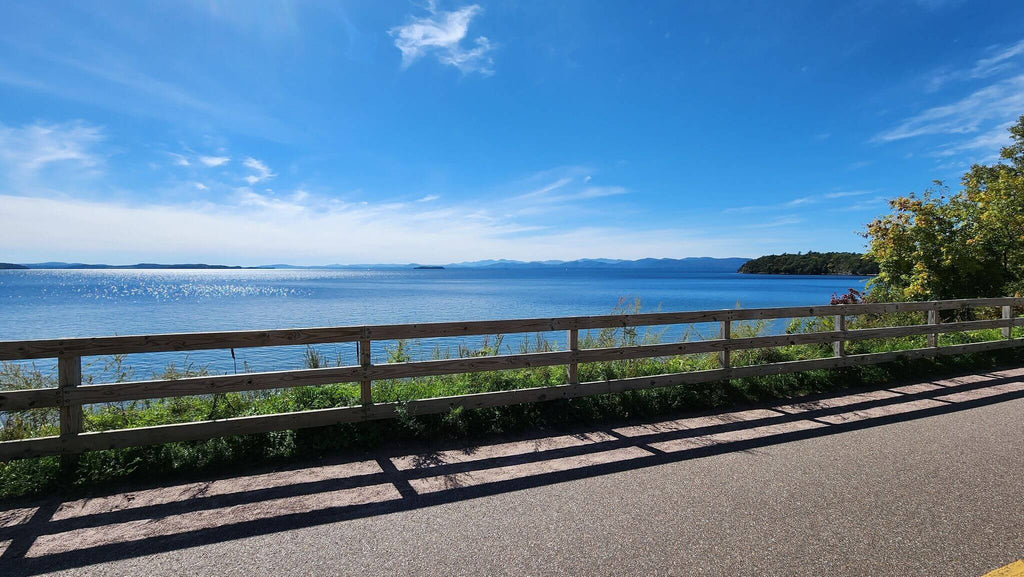 Best dog friendly trails in Burlington