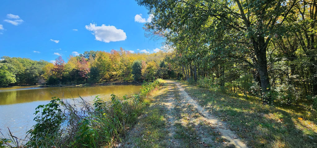 Best dog friendly trails in Memphis