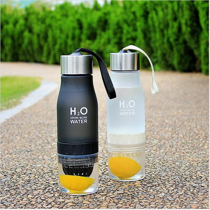 H2O  Fruit Infuser Shaker Bottle