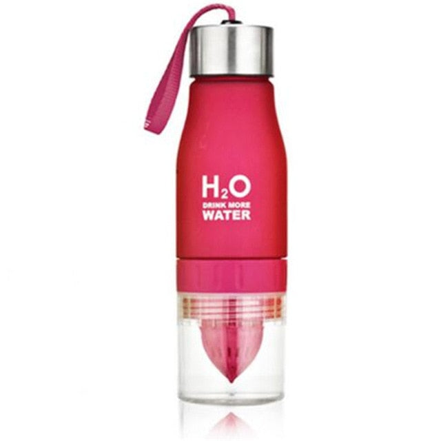 H2O  Fruit Infuser Shaker Bottle