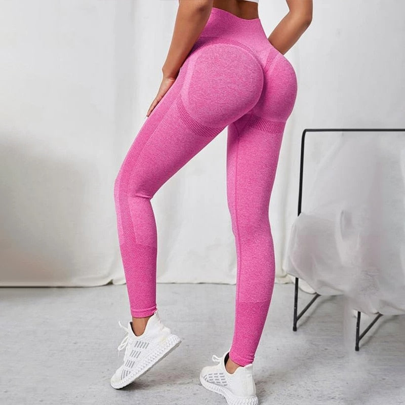 Seamless Workout Leggings