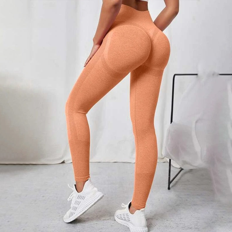 Seamless Workout Leggings