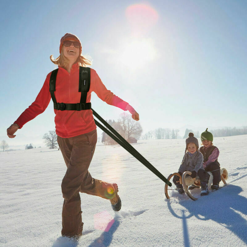 Fitness Sled