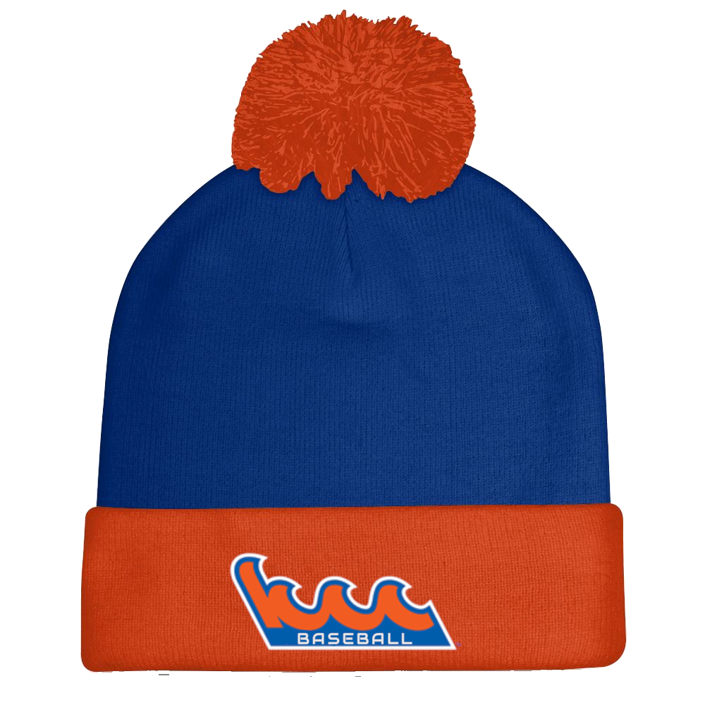 Kingsborough Winter Rollup Hat with Pom