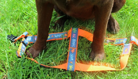 An example of a step-in dog harness