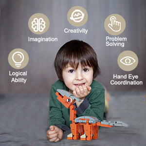 Logical Ability, Imagination, Creativity, Problem Solving, Hand Eye Coordination